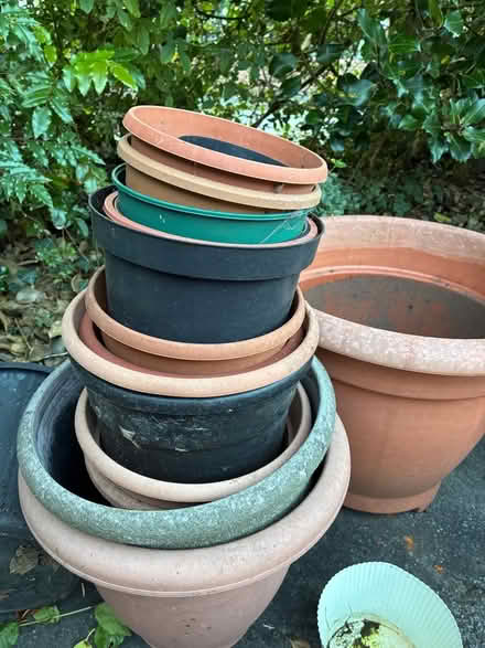 Photo of free Garden plant pots (Great Boughton CH3) #1