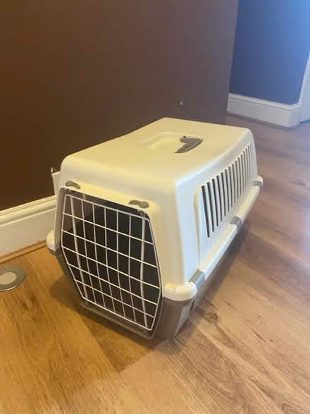 Photo of free Large Pet Carrier (Teddington) #2