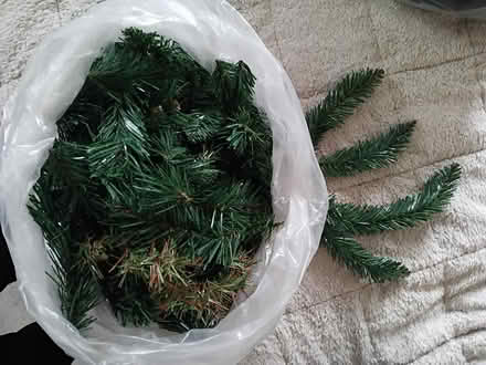 Photo of free Artificial festive pine sprigs (Langley Park, DH7) #1