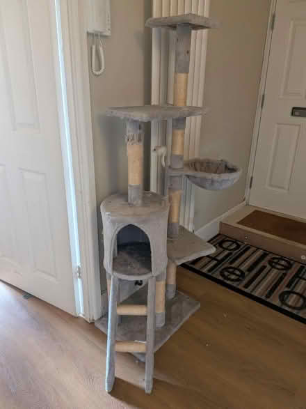Photo of free Large multi-level cat tree tower (Teddington TW11) #2
