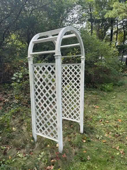 Photo of free Garden trellis/arbor (Brighton) #4