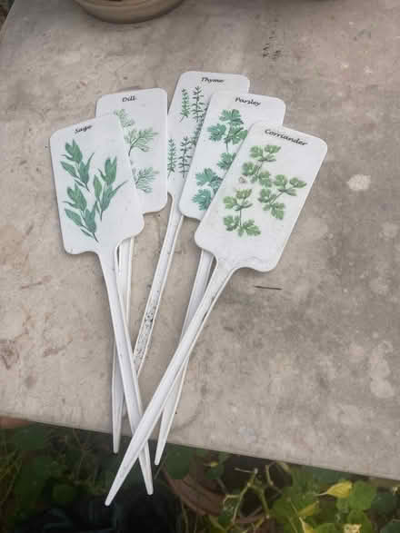 Photo of free Herb labels plastic (Colchester station CO4) #1