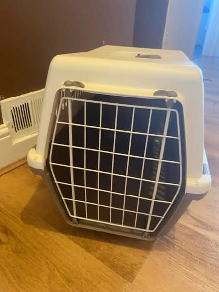 Photo of free Large Pet Carrier (Teddington) #1