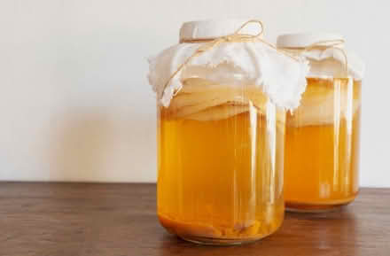 Photo of Kefir or Kombucha starter (Wirksworth, DE4) #1