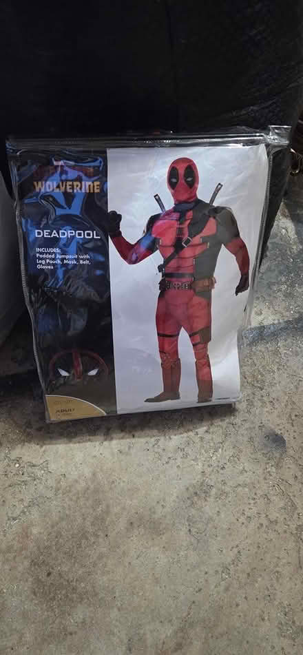 Photo of free Halloween costumes medium - large (Streamwood, IL) #1