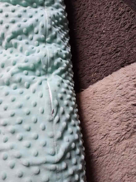 Photo of free Long pillow (Putnoe MK41) #2