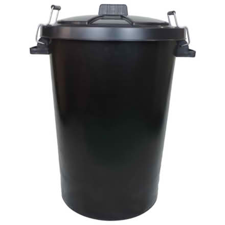 Photo of 90-100l bin (Aldrington/Hove BN3) #1