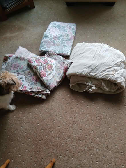 Photo of free 0ldvcutains/dust sheets (Penrith CA11) #1