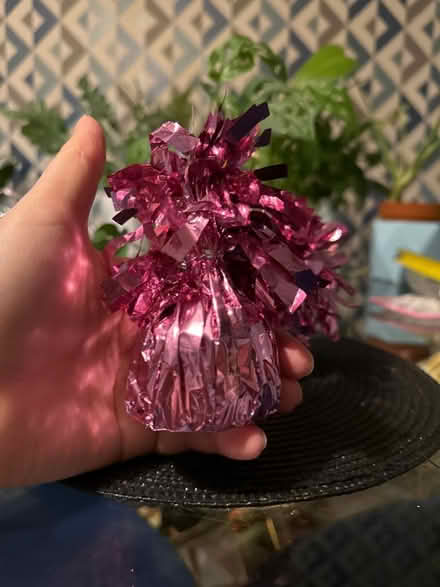 Photo of free Balloon weights (Queens Park MK40) #2