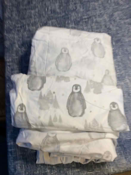 Photo of free A single duvet cover and pillowcase (OX3 near Nuffield orthopaedic) #1