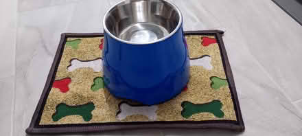 Photo of free Raised Dog Bowl (Hatfield AL10) #1