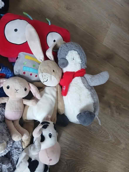 Photo of free Soft toys (Hollywood, B47) #4