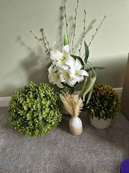Photo of free Artificial Flowers And Plants (Whitfield CT16) #1