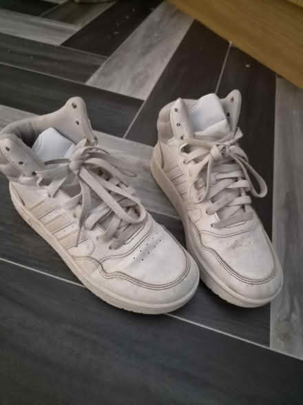 Photo of free Size 3 hightops (Bramley LS13) #1