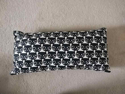 Photo of free Cushion (Arleston DE24) #1