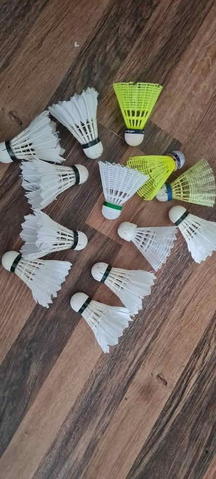 Photo of free Badminton shuttlecocks (Priestwood RG42) #1
