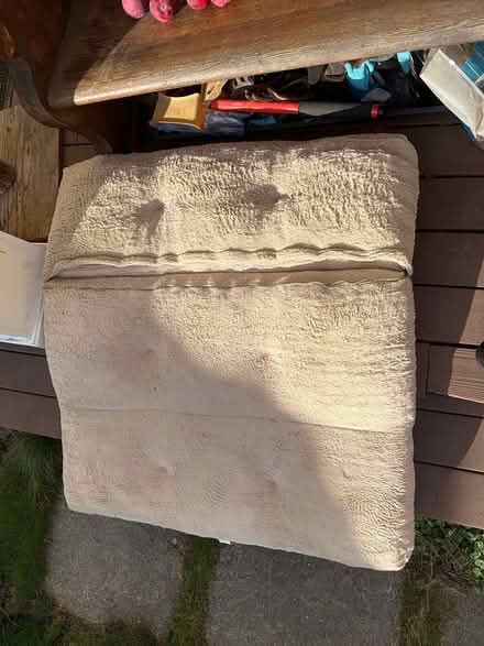 Photo of free Dog beds (Capitol Hill) #1