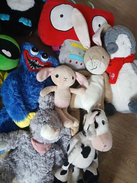 Photo of free Soft toys (Hollywood, B47) #3