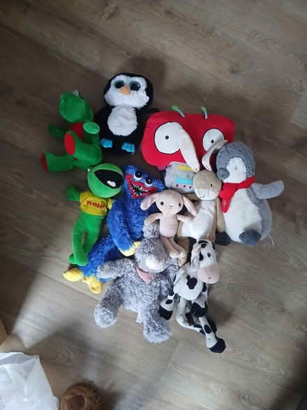 Photo of free Soft toys (Hollywood, B47) #1