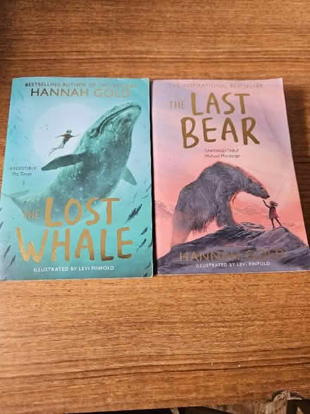 Photo of free Children's fiction pair of books (Drayton OX14) #1