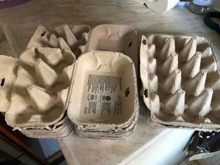 Photo of free Egg boxes (Littleover DE23) #2