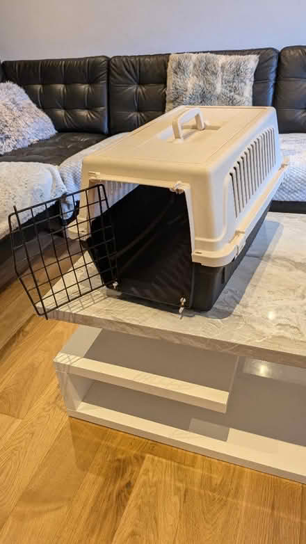 Photo of free Cat carrier (Camberley GU17) #2
