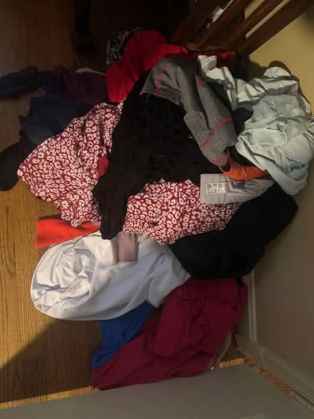 Photo of free Women’s clothes size L (Wolftrap) #1