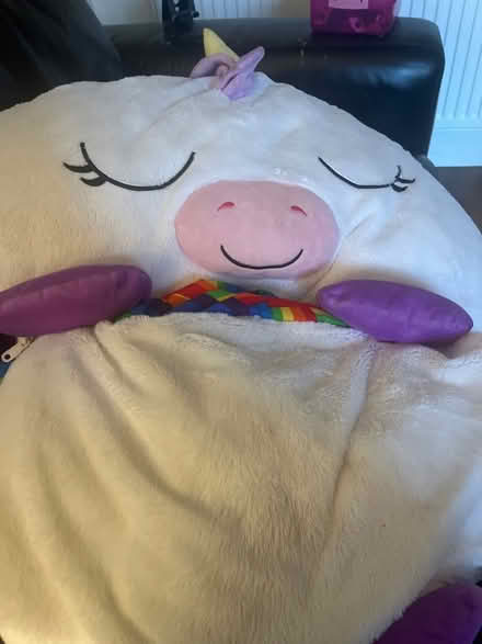 Photo of free Happy Napper child’s sleeping bag (Emscote Mill CV34) #1