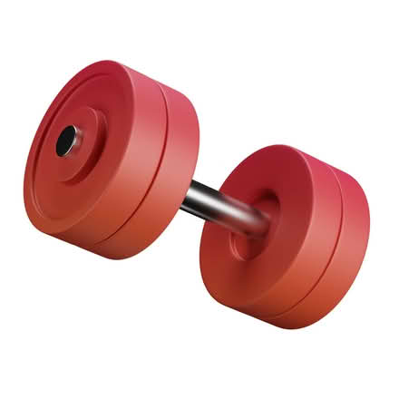 Photo of wrist weights or dumbbells (City Centre S1) #2
