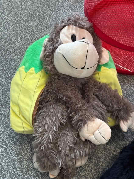 Photo of free Toy basket and teddies (Halfway G72) #2