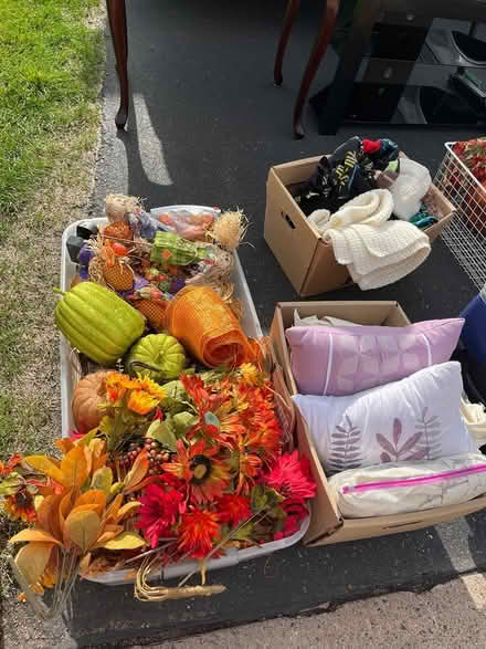 Photo of free Misc decor (Hugo, north of Conrad 14) #2