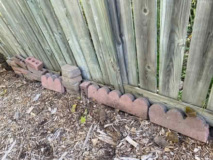 Photo of free Bricks and garden edging (Orleans) #1