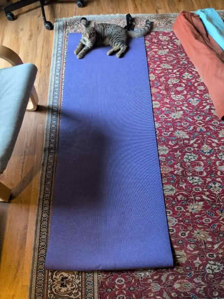 Photo of free Yoga mat (Chesham HP5) #2