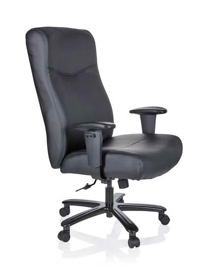 Photo of ergonomic office chair / desk chair (City Centre S1) #3