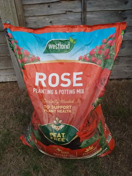 Photo of free Rose feed (Southgate RH10) #1
