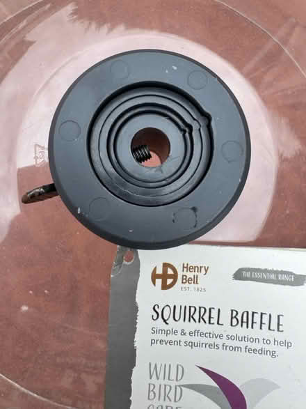 Photo of free Squirrel baffle for bird feeder (Dogsthorpe PE1.) #3