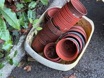 Photo of free Garden plant pots (Great Boughton CH3) #4