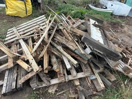 Photo of free Wood for borders/bonfires (Southwick BA14) #1