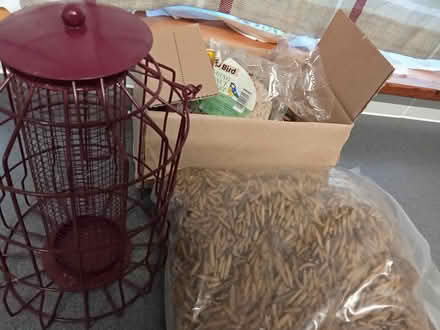 Photo of free Wild bird items (Willesborough) #1