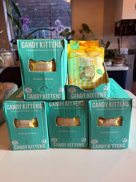 Photo of free Lemon Sherbet Candy Kittens (Liverpool L13) #1