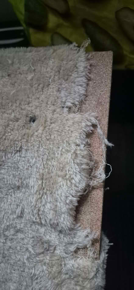 Photo of free Cat Tower (Fordwich CT1) #2
