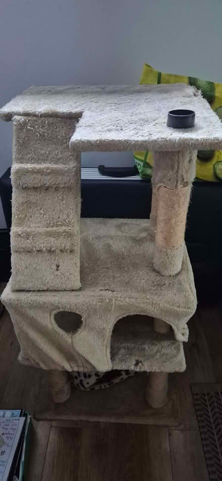 Photo of free Cat Tower (Fordwich CT1) #1