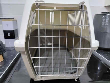 Photo of free Cat accessories (Gillmoss L11) #3