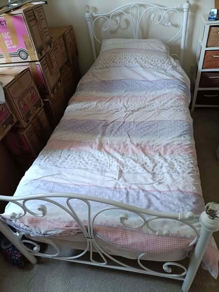 Photo of free Single bed (East Ogwell TQ12) #4