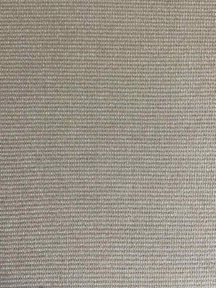 Photo of free Carpet (Annandale) #3