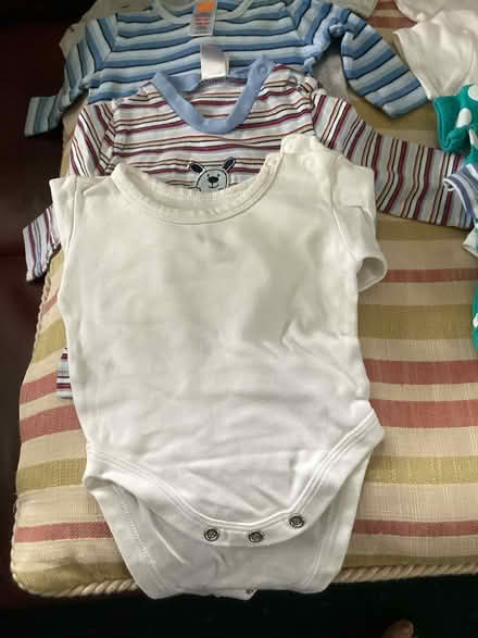 Photo of free 1st size babys vests (Maidstone ME15) #3