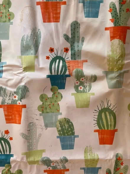 Photo of free Plastic table cloth (Greystones S11) #1