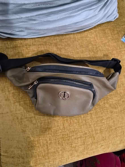 Photo of free Fanny Pack (Bowie) #3