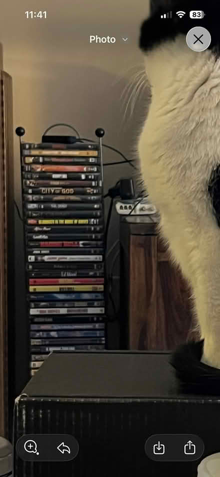 Photo of free DVD tower (Adams Morgan) #1