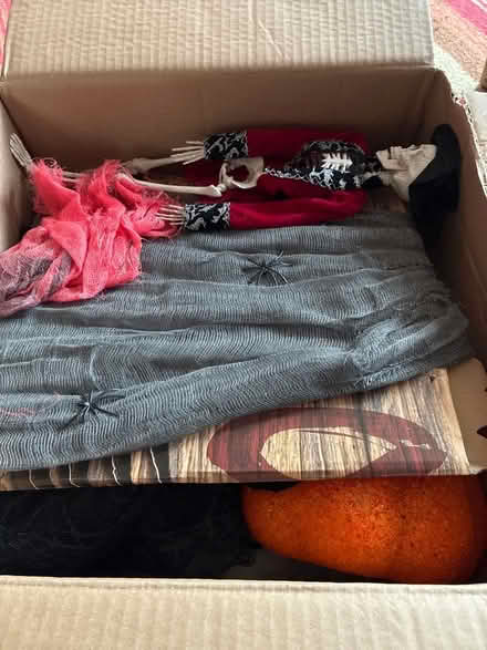 Photo of free Halloween Decorations (Tupsley HR1) #2